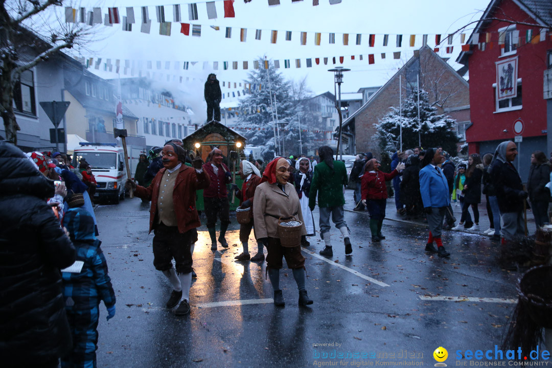 Fasnetsumzug - Fasching: Markdorf am Bodensee, 16.01.2016