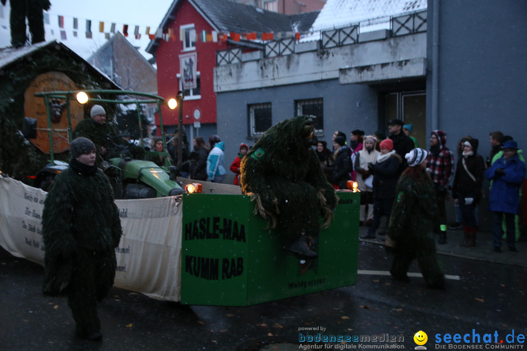 Fasnetsumzug - Fasching: Markdorf am Bodensee, 16.01.2016