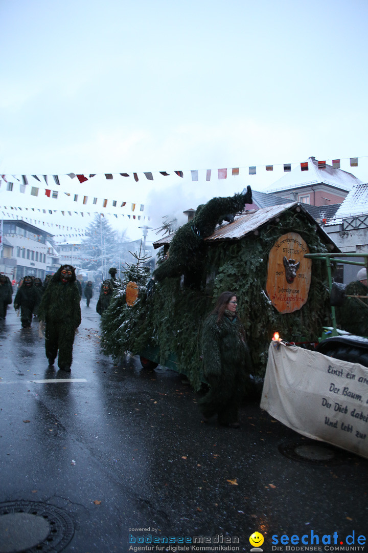 Fasnetsumzug - Fasching: Markdorf am Bodensee, 16.01.2016