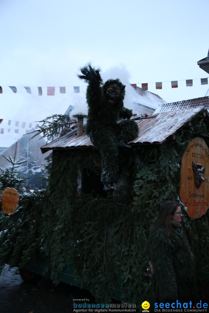 Fasnetsumzug - Fasching: Markdorf am Bodensee, 16.01.2016