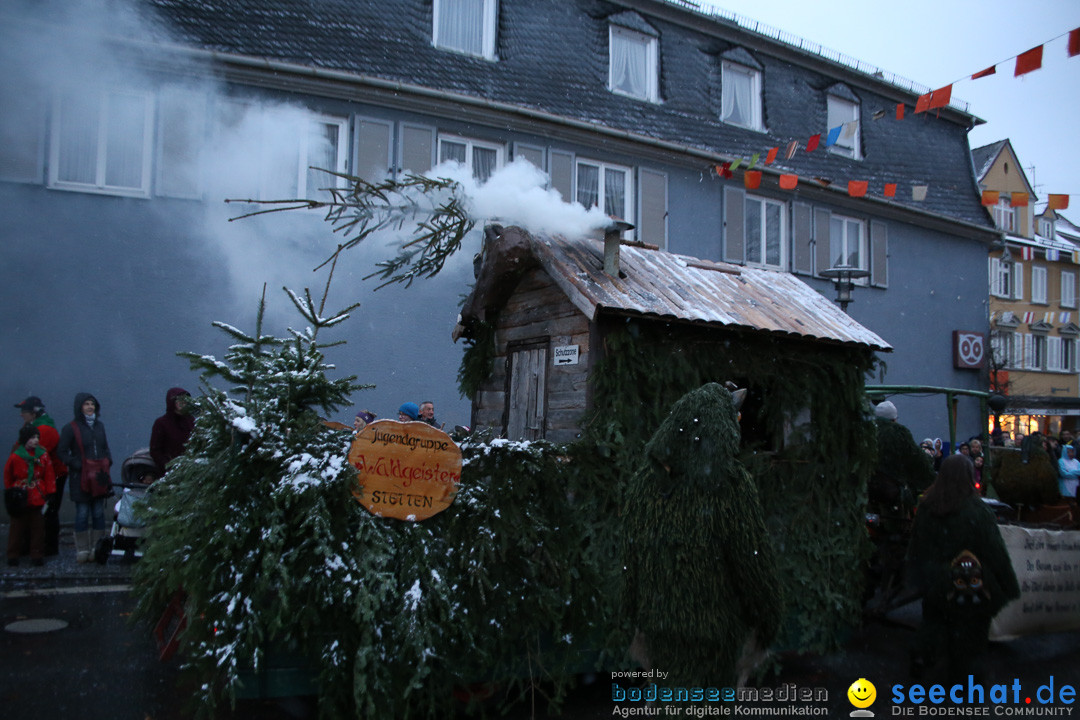 Fasnetsumzug - Fasching: Markdorf am Bodensee, 16.01.2016