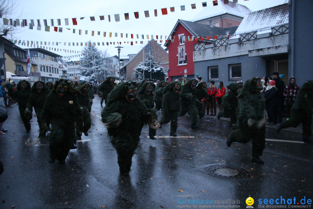 Fasnetsumzug - Fasching: Markdorf am Bodensee, 16.01.2016