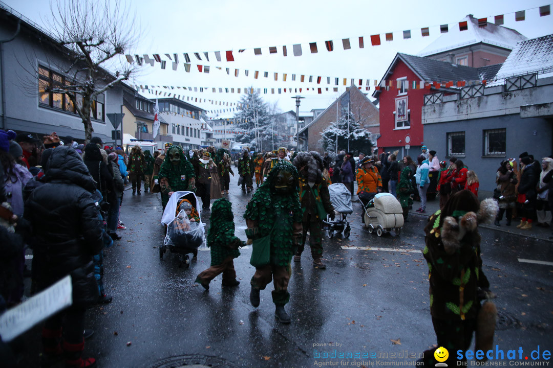 Fasnetsumzug - Fasching: Markdorf am Bodensee, 16.01.2016