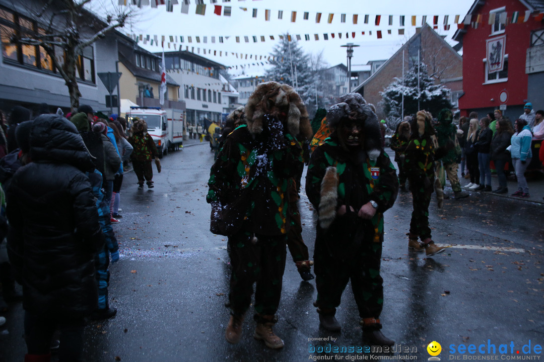 Fasnetsumzug - Fasching: Markdorf am Bodensee, 16.01.2016