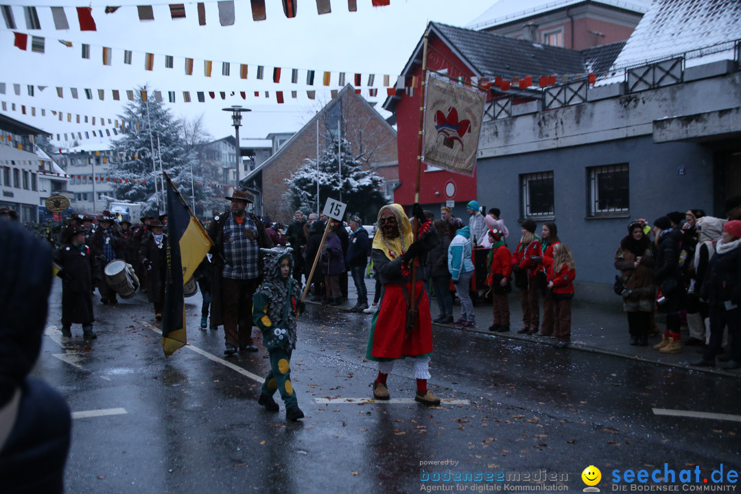 Fasnetsumzug - Fasching: Markdorf am Bodensee, 16.01.2016