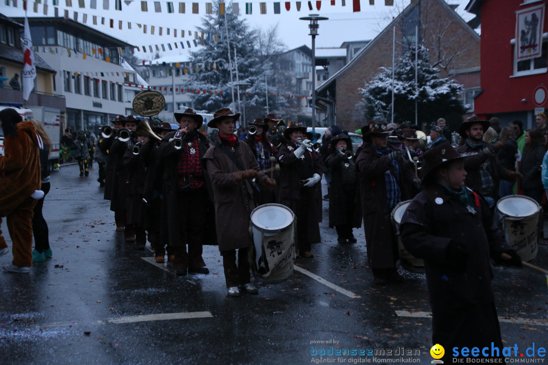 Fasnetsumzug - Fasching: Markdorf am Bodensee, 16.01.2016