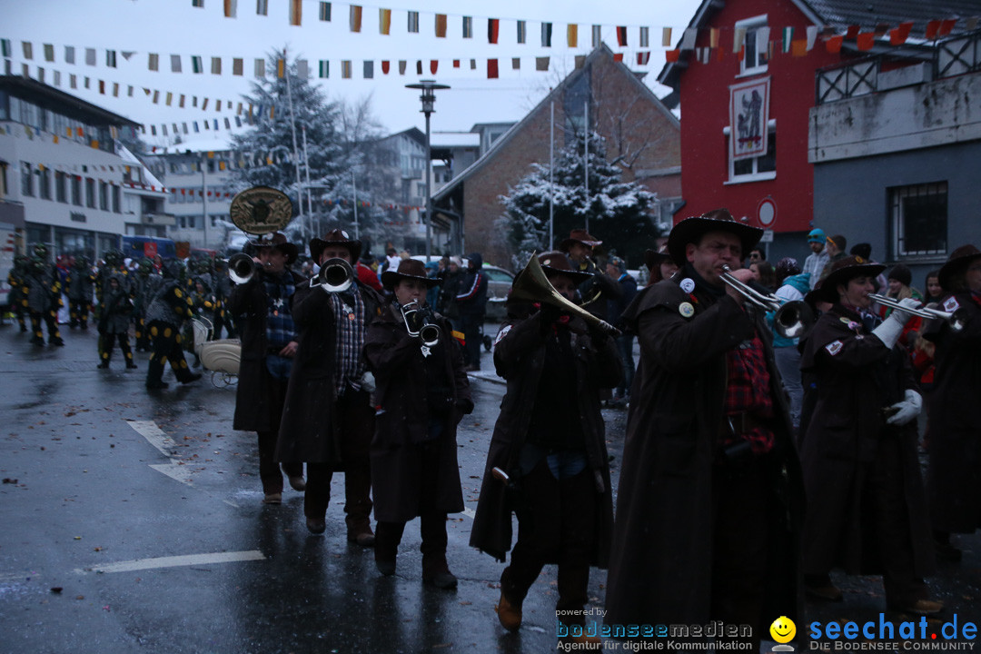 Fasnetsumzug - Fasching: Markdorf am Bodensee, 16.01.2016