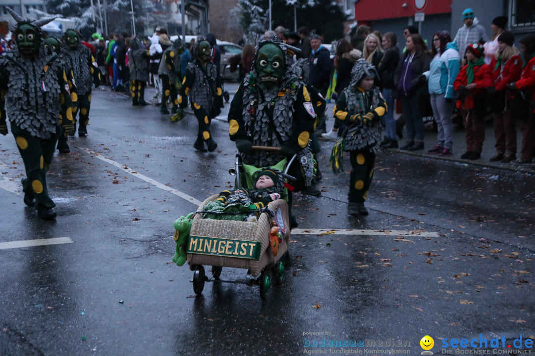 Fasnetsumzug - Fasching: Markdorf am Bodensee, 16.01.2016