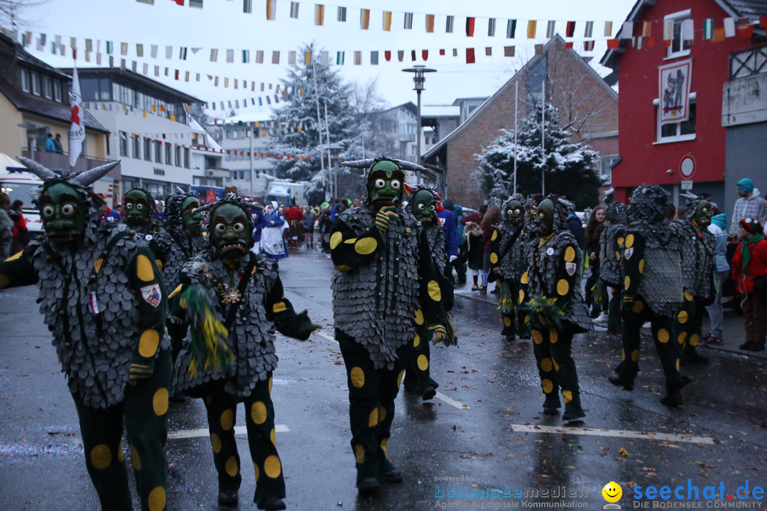 Fasnetsumzug - Fasching: Markdorf am Bodensee, 16.01.2016