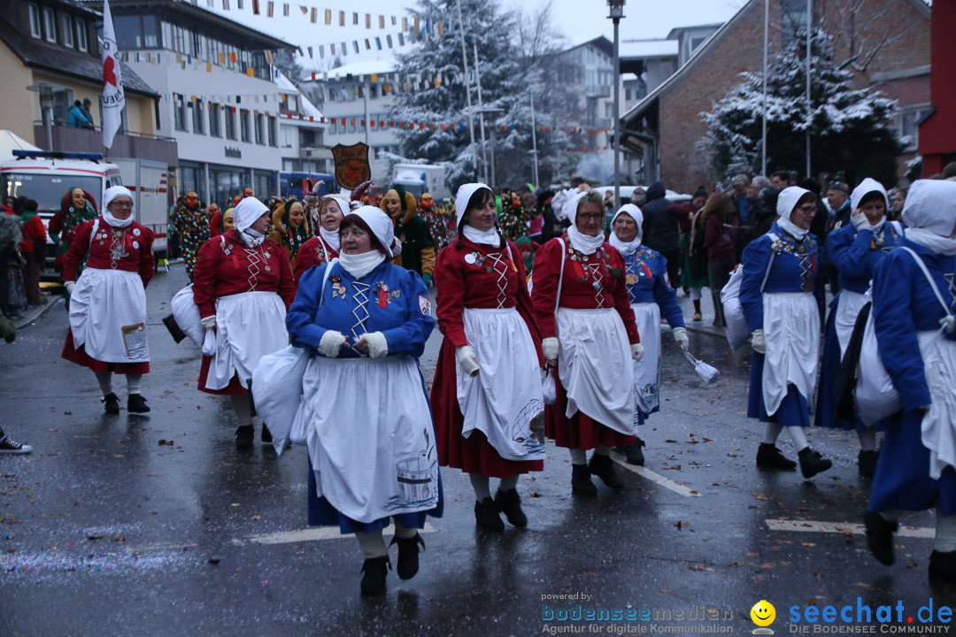 Fasnetsumzug - Fasching: Markdorf am Bodensee, 16.01.2016