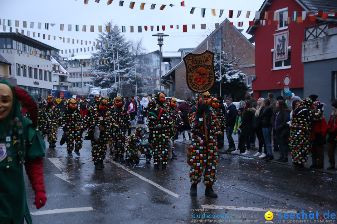 Fasnetsumzug - Fasching: Markdorf am Bodensee, 16.01.2016