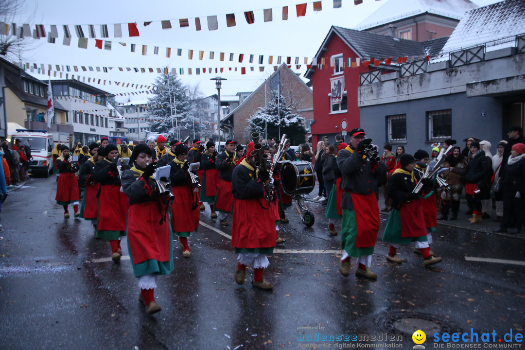 Fasnetsumzug - Fasching: Markdorf am Bodensee, 16.01.2016