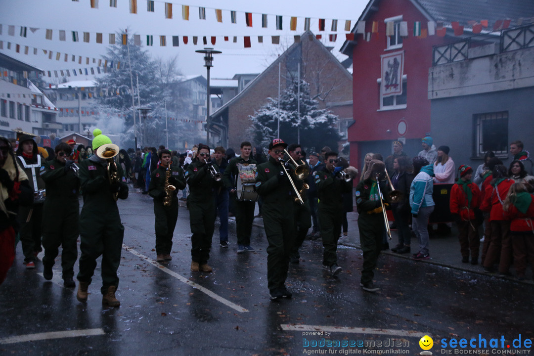 Fasnetsumzug - Fasching: Markdorf am Bodensee, 16.01.2016