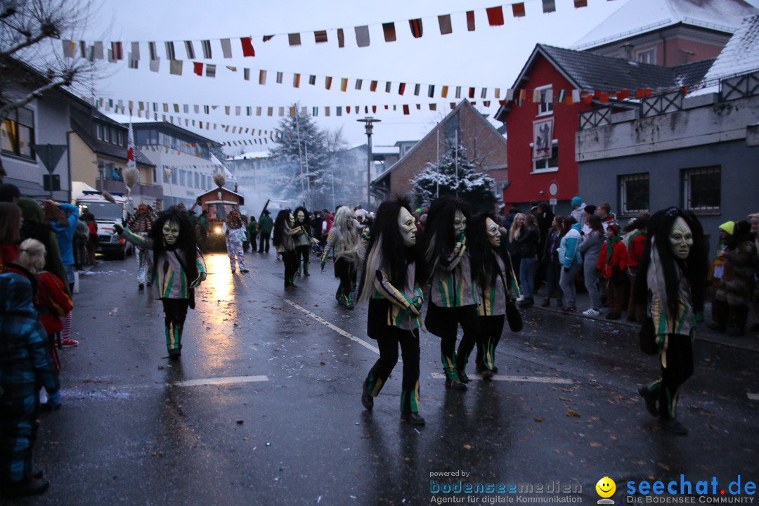 Fasnetsumzug - Fasching: Markdorf am Bodensee, 16.01.2016