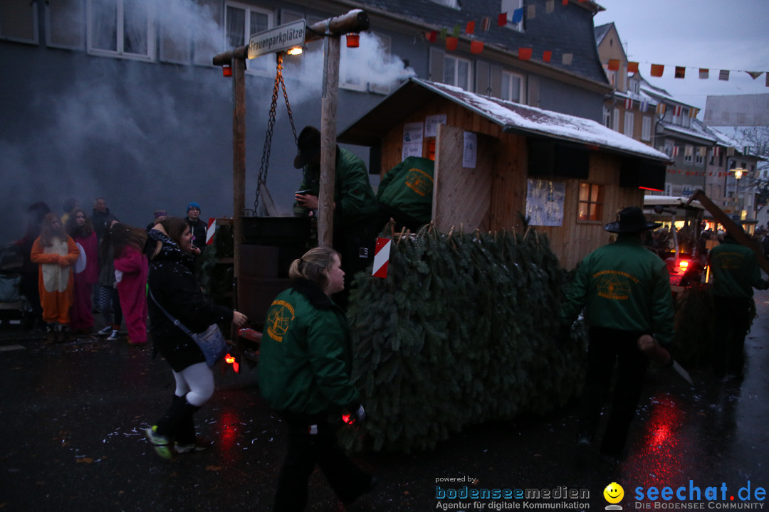 Fasnetsumzug - Fasching: Markdorf am Bodensee, 16.01.2016