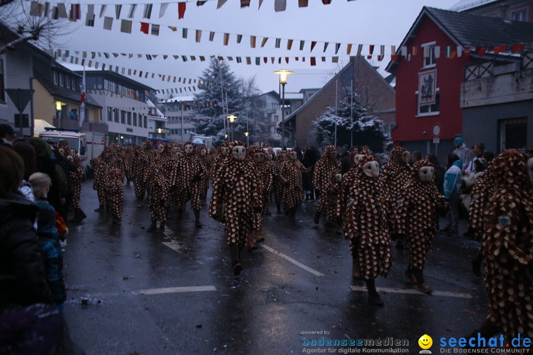 Fasnetsumzug - Fasching: Markdorf am Bodensee, 16.01.2016