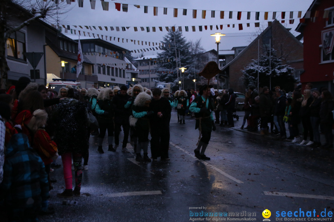 Fasnetsumzug - Fasching: Markdorf am Bodensee, 16.01.2016