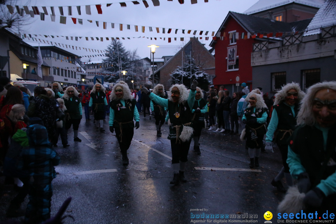 Fasnetsumzug - Fasching: Markdorf am Bodensee, 16.01.2016