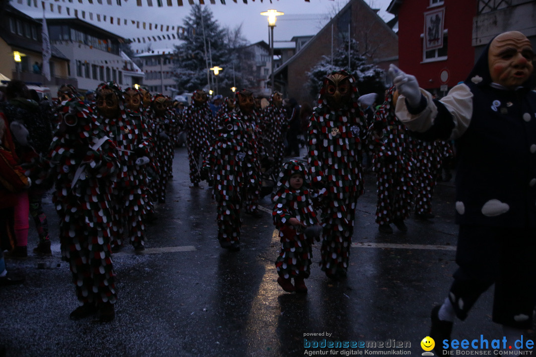 Fasnetsumzug - Fasching: Markdorf am Bodensee, 16.01.2016