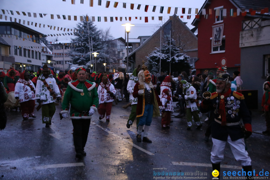 Fasnetsumzug - Fasching: Markdorf am Bodensee, 16.01.2016