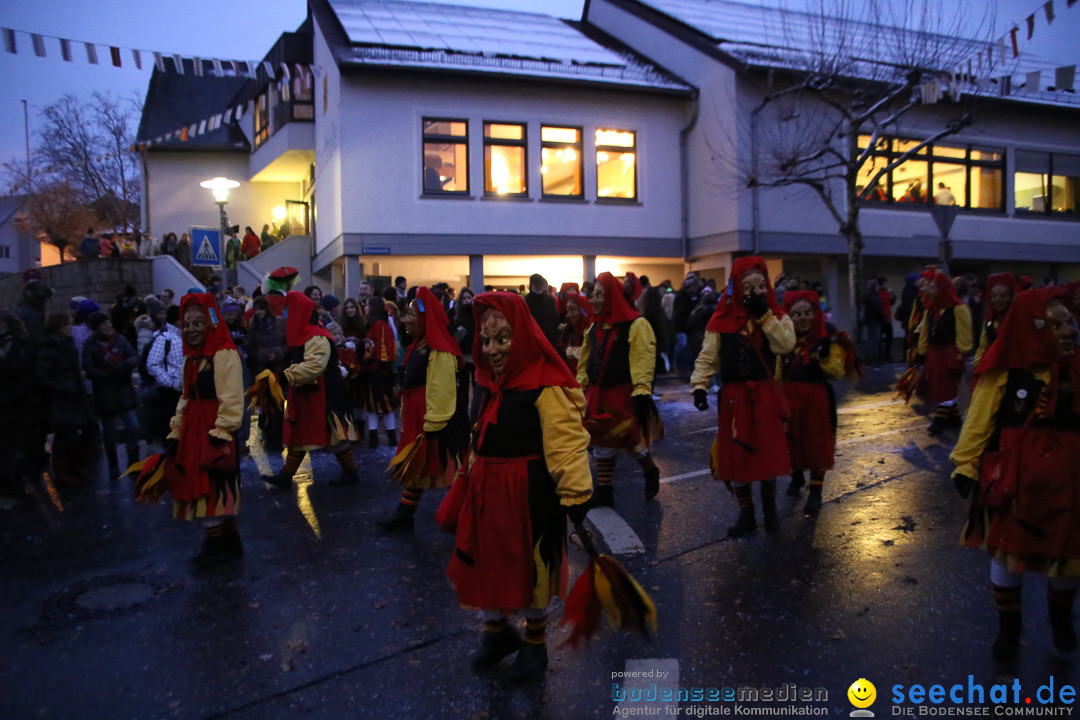 Fasnetsumzug - Fasching: Markdorf am Bodensee, 16.01.2016