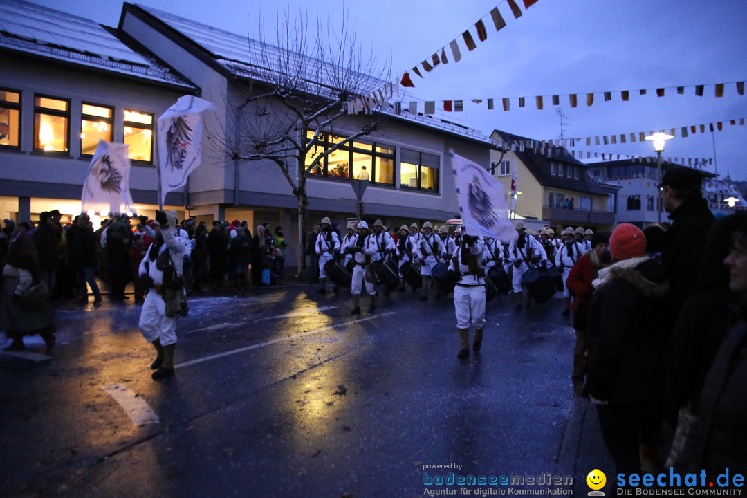 Fasnetsumzug - Fasching: Markdorf am Bodensee, 16.01.2016