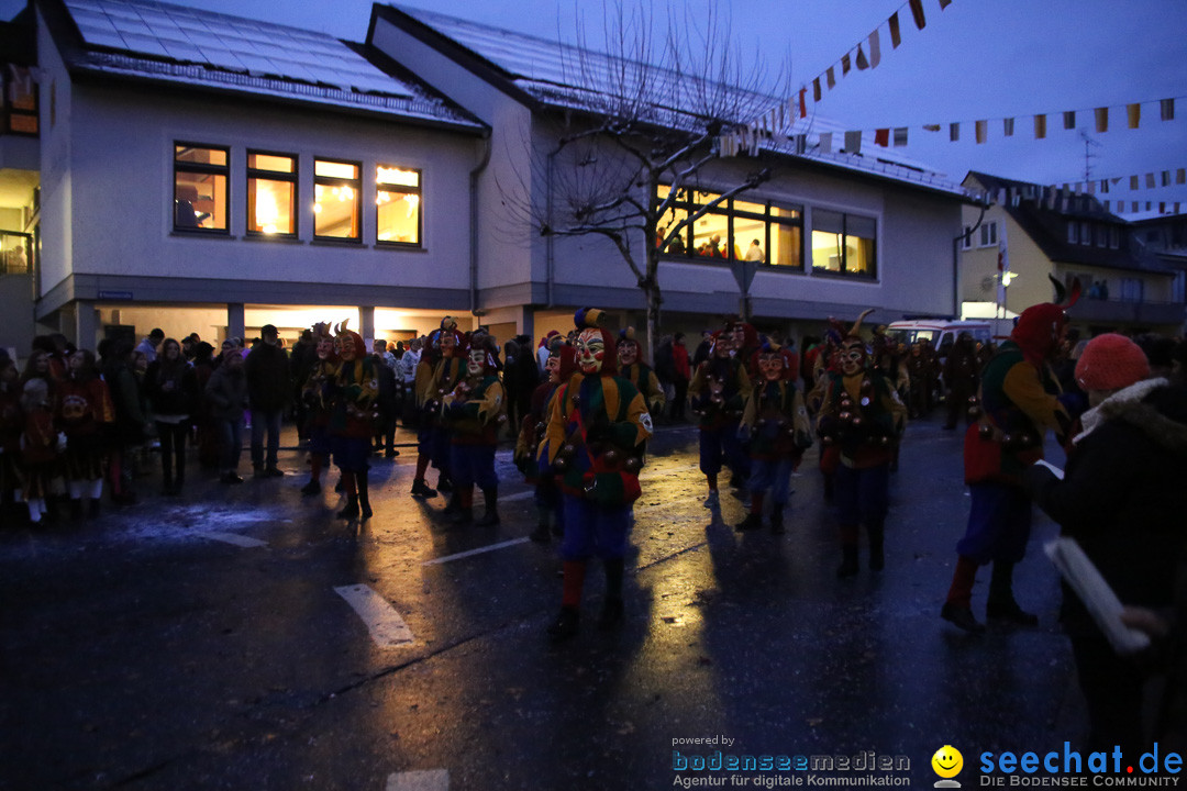 Fasnetsumzug - Fasching: Markdorf am Bodensee, 16.01.2016