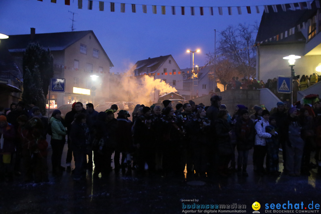 Fasnetsumzug - Fasching: Markdorf am Bodensee, 16.01.2016