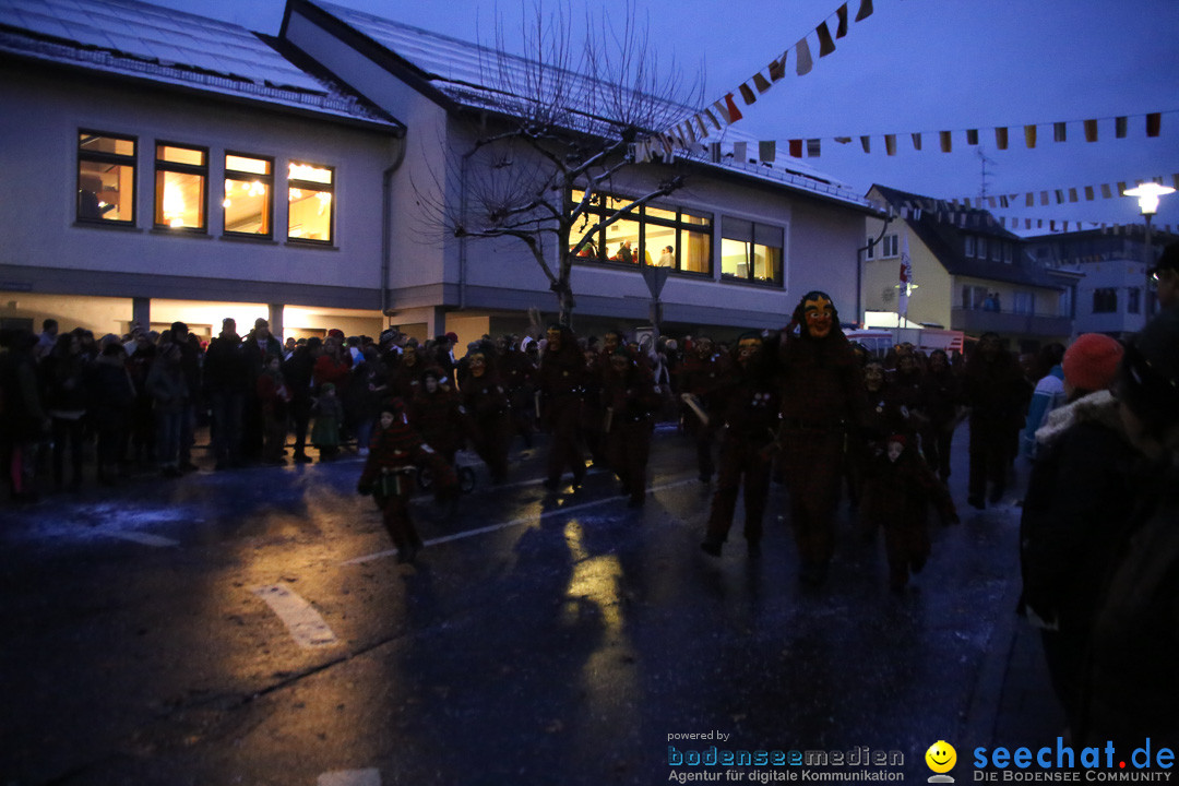 Fasnetsumzug - Fasching: Markdorf am Bodensee, 16.01.2016