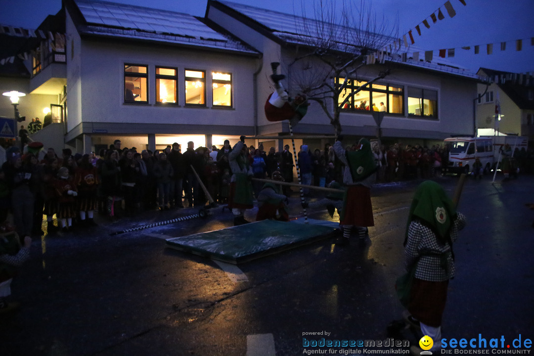 Fasnetsumzug - Fasching: Markdorf am Bodensee, 16.01.2016