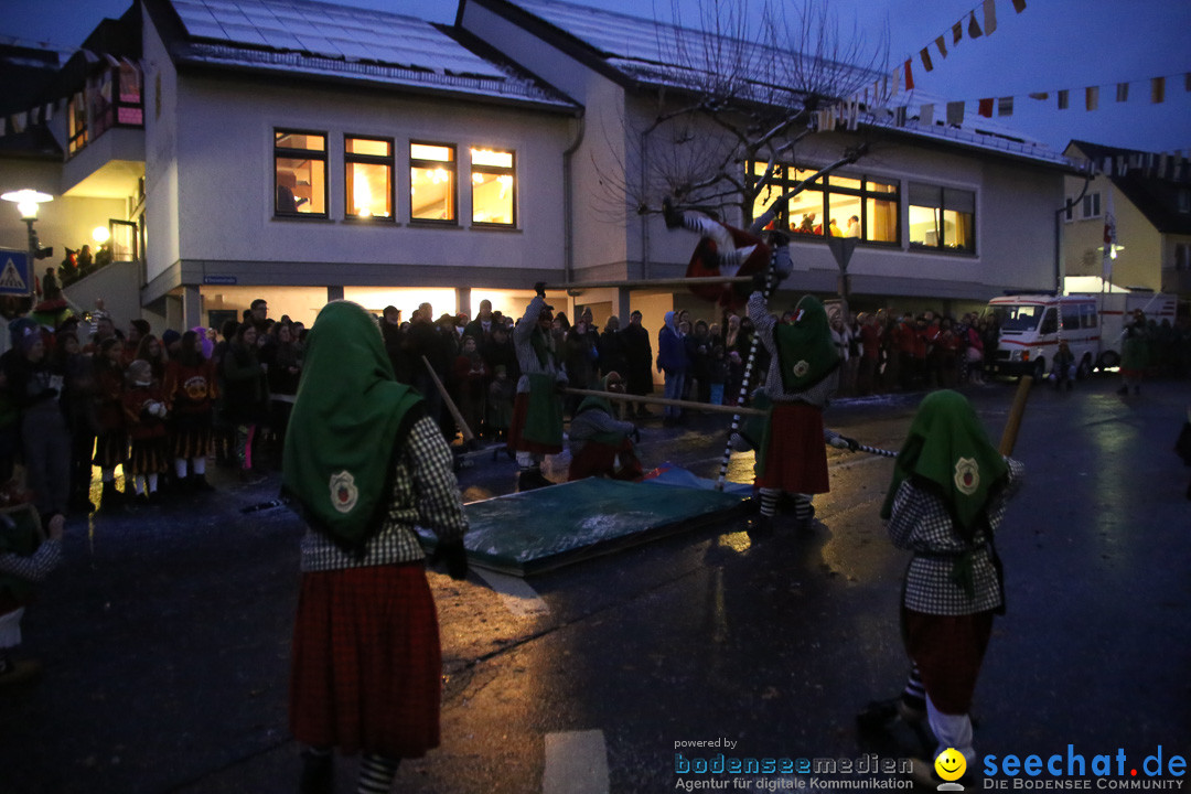 Fasnetsumzug - Fasching: Markdorf am Bodensee, 16.01.2016