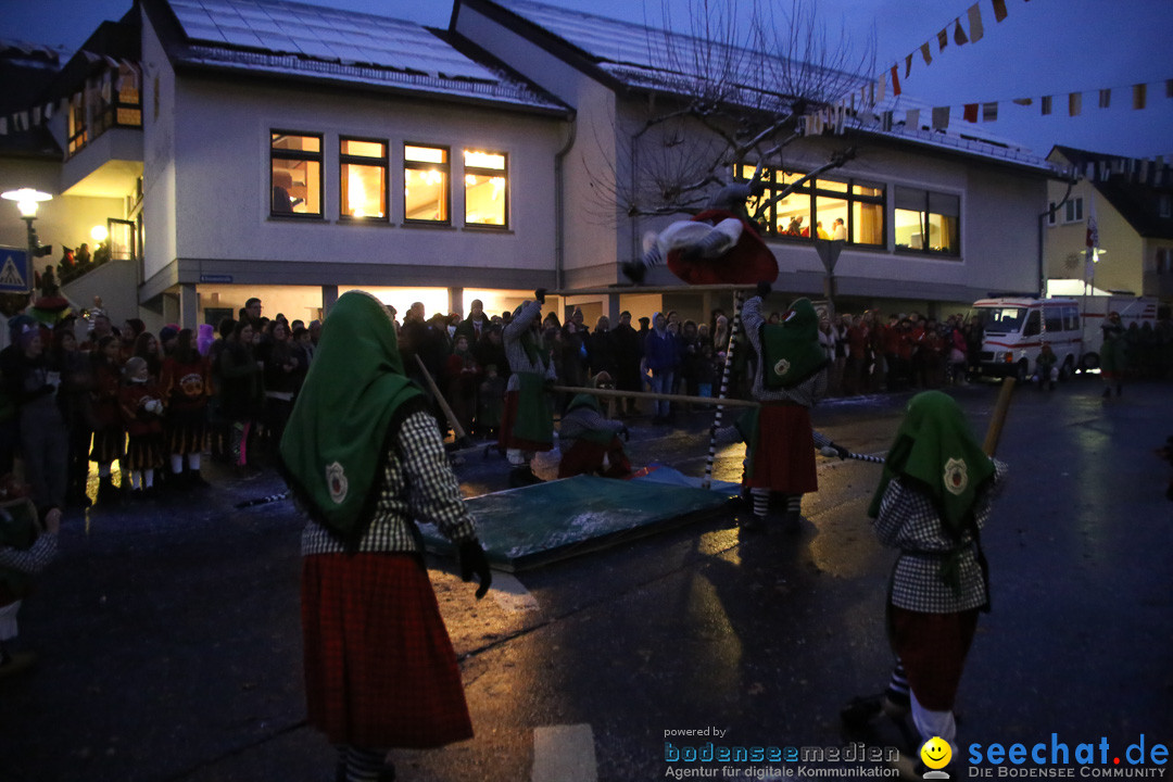 Fasnetsumzug - Fasching: Markdorf am Bodensee, 16.01.2016