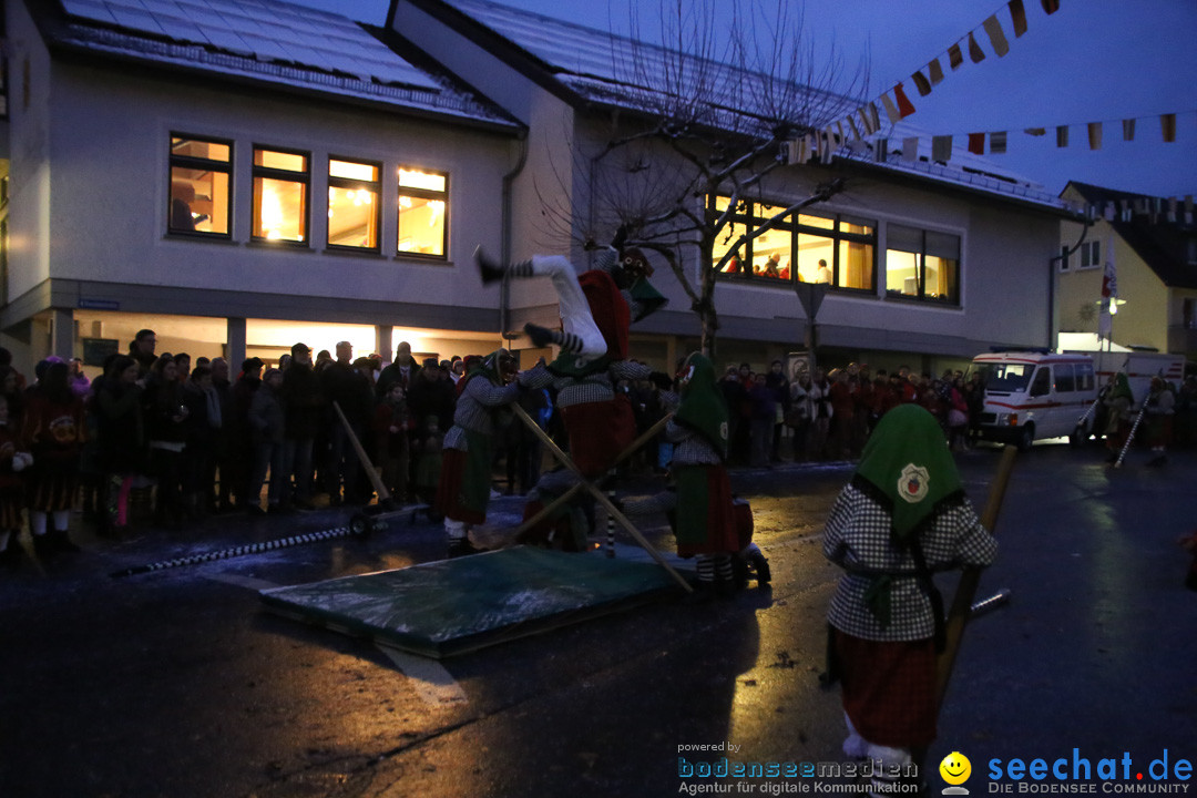 Fasnetsumzug - Fasching: Markdorf am Bodensee, 16.01.2016