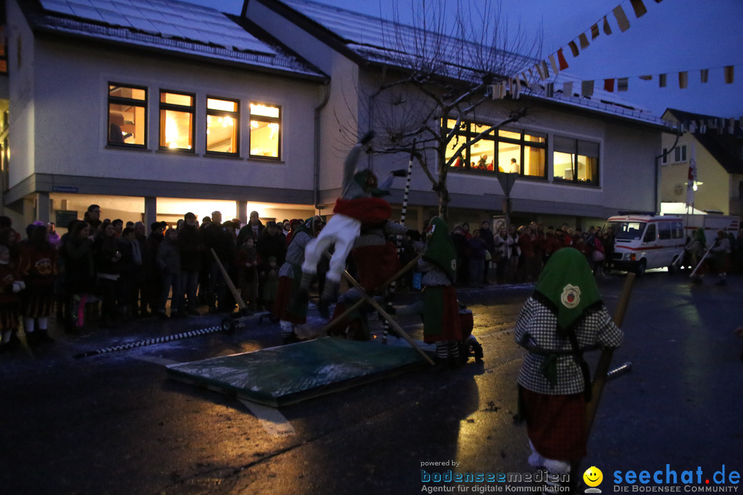 Fasnetsumzug - Fasching: Markdorf am Bodensee, 16.01.2016