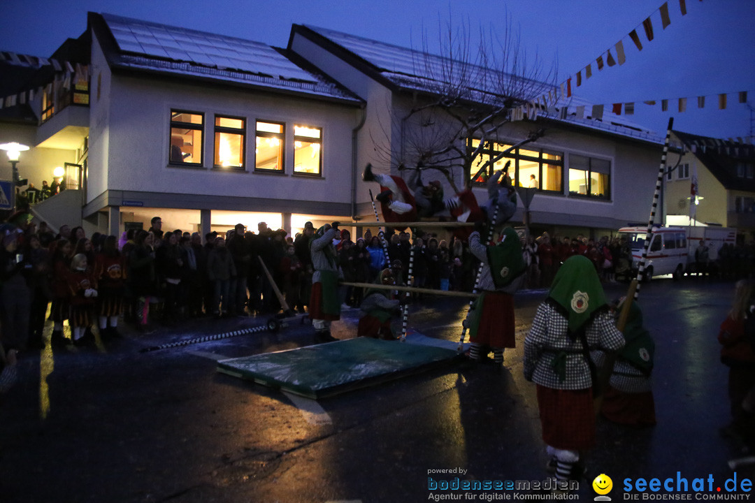 Fasnetsumzug - Fasching: Markdorf am Bodensee, 16.01.2016