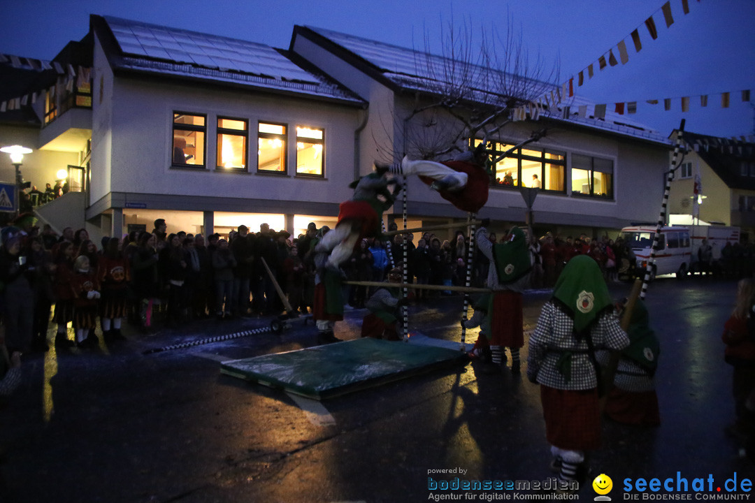 Fasnetsumzug - Fasching: Markdorf am Bodensee, 16.01.2016