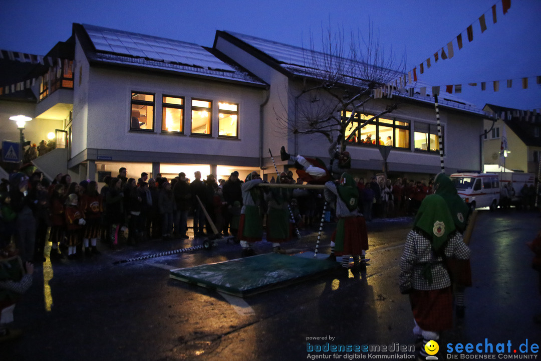 Fasnetsumzug - Fasching: Markdorf am Bodensee, 16.01.2016