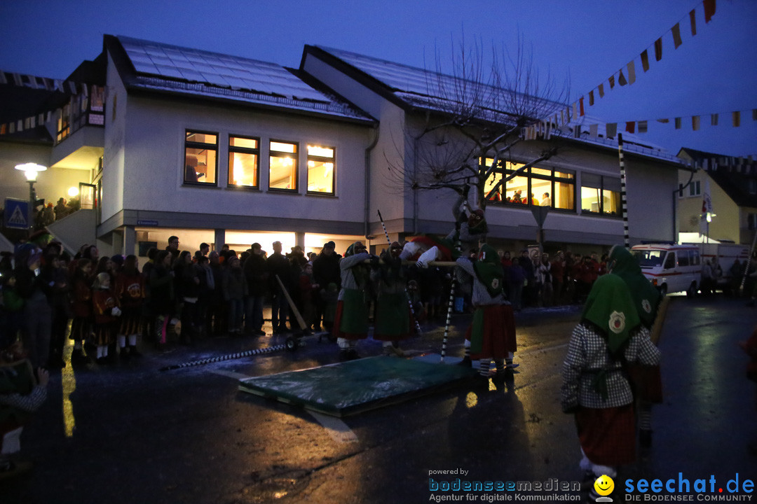 Fasnetsumzug - Fasching: Markdorf am Bodensee, 16.01.2016