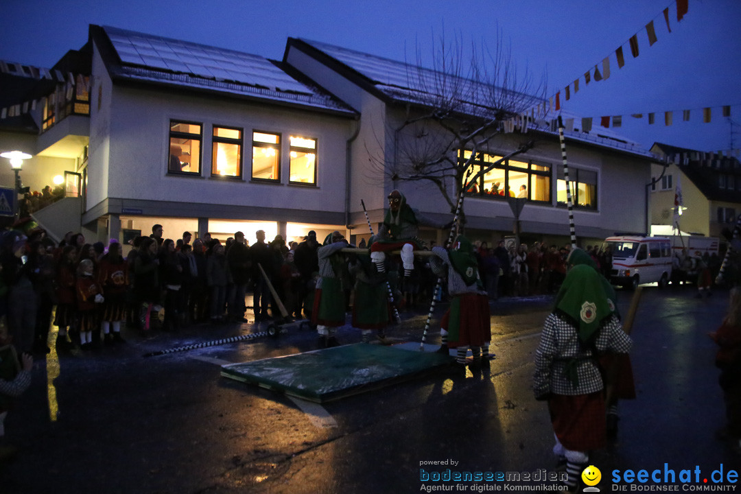 Fasnetsumzug - Fasching: Markdorf am Bodensee, 16.01.2016