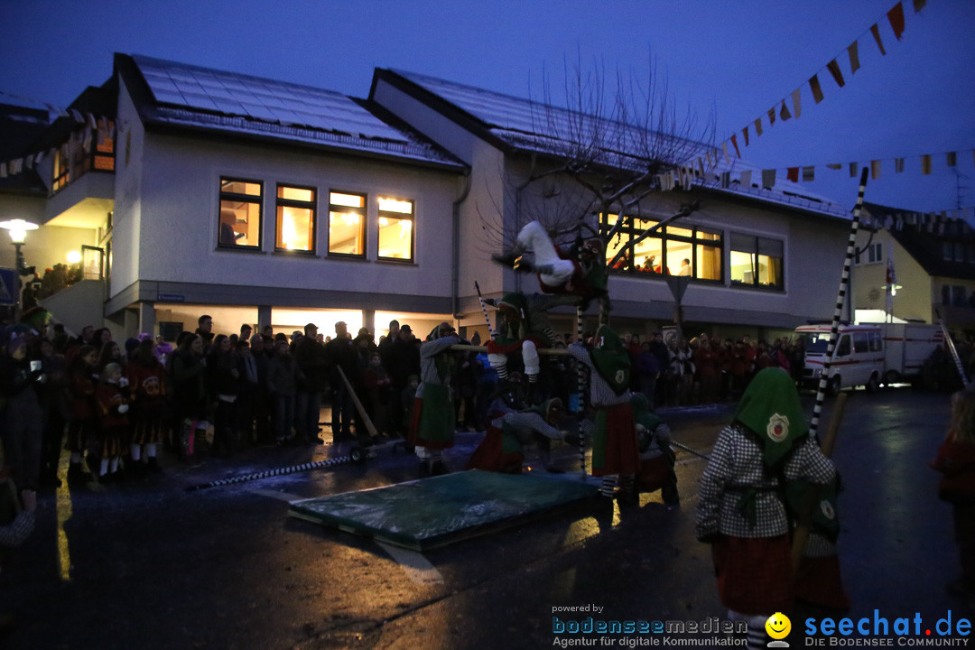 Fasnetsumzug - Fasching: Markdorf am Bodensee, 16.01.2016