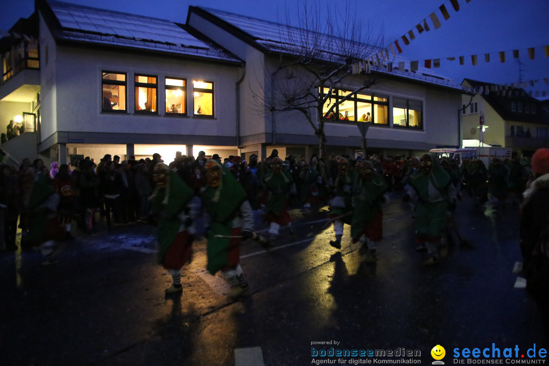 Fasnetsumzug - Fasching: Markdorf am Bodensee, 16.01.2016