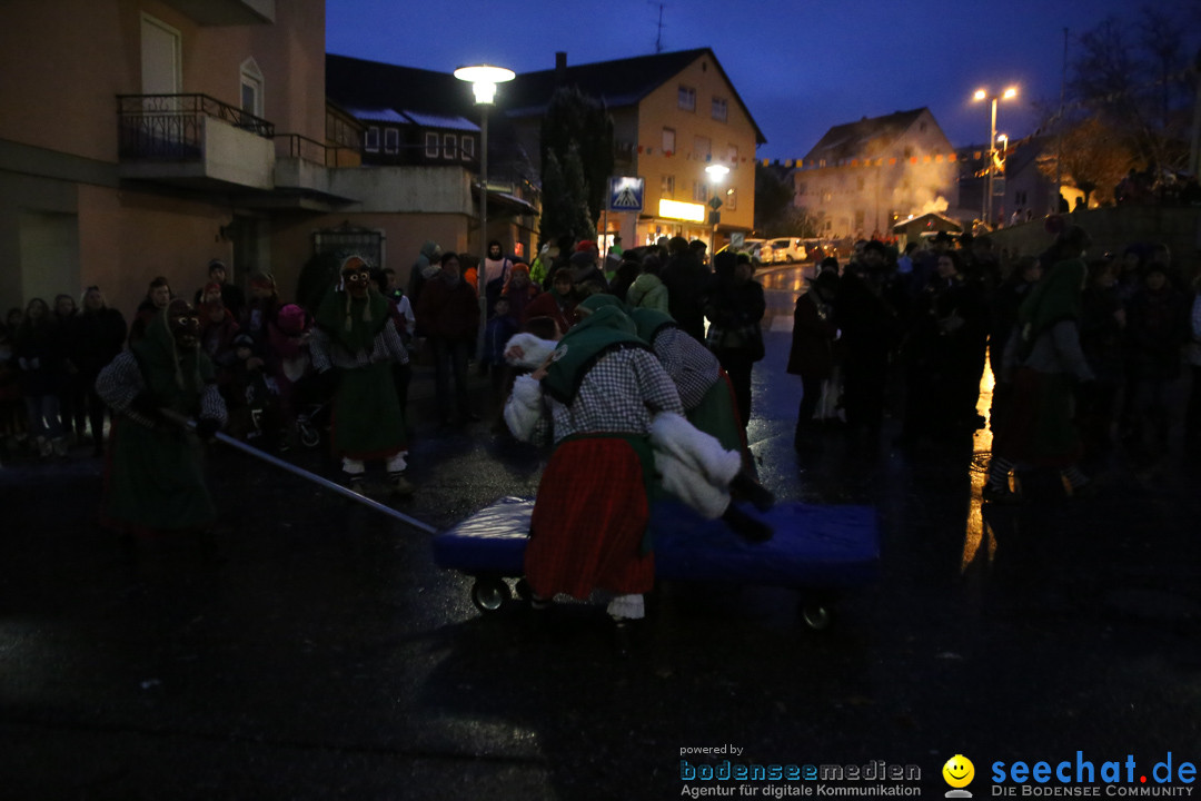 Fasnetsumzug - Fasching: Markdorf am Bodensee, 16.01.2016