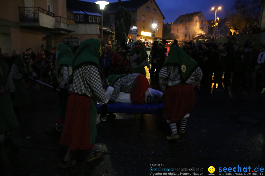 Fasnetsumzug - Fasching: Markdorf am Bodensee, 16.01.2016