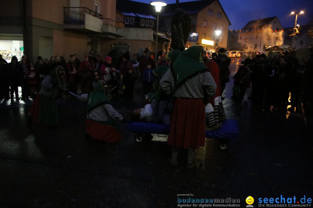 Fasnetsumzug - Fasching: Markdorf am Bodensee, 16.01.2016