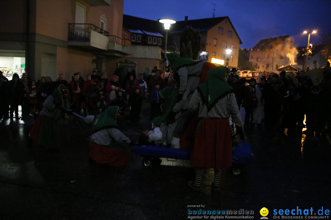 Fasnetsumzug - Fasching: Markdorf am Bodensee, 16.01.2016