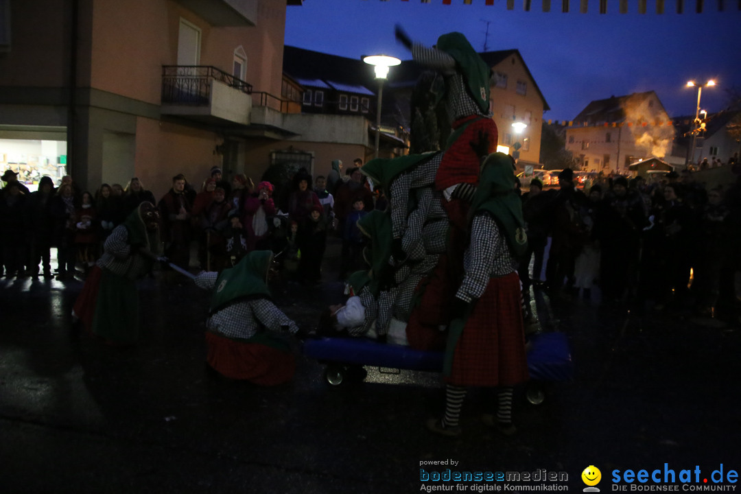 Fasnetsumzug - Fasching: Markdorf am Bodensee, 16.01.2016