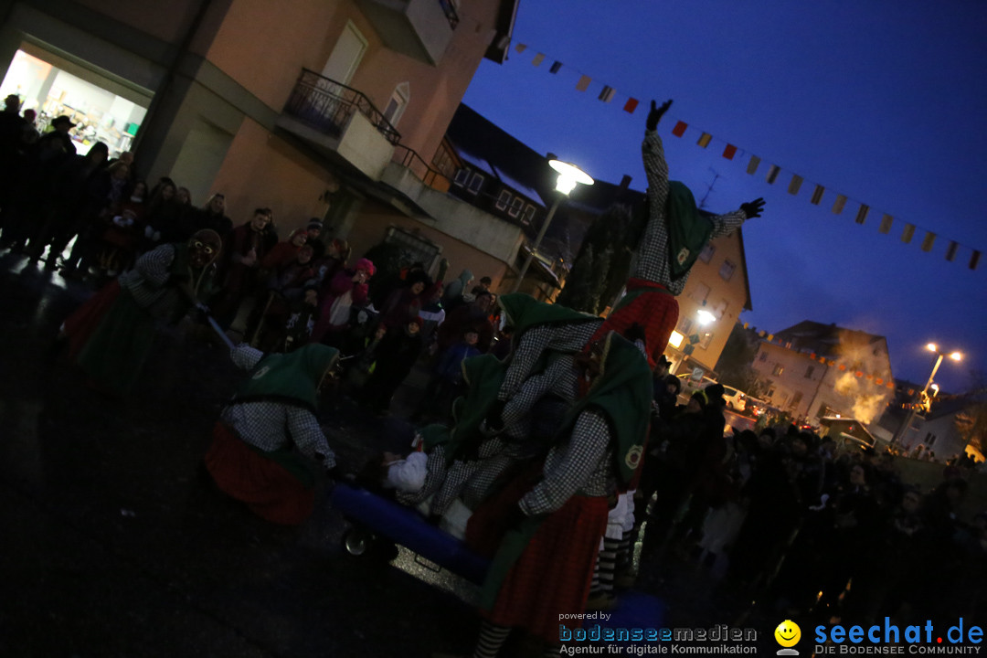 Fasnetsumzug - Fasching: Markdorf am Bodensee, 16.01.2016