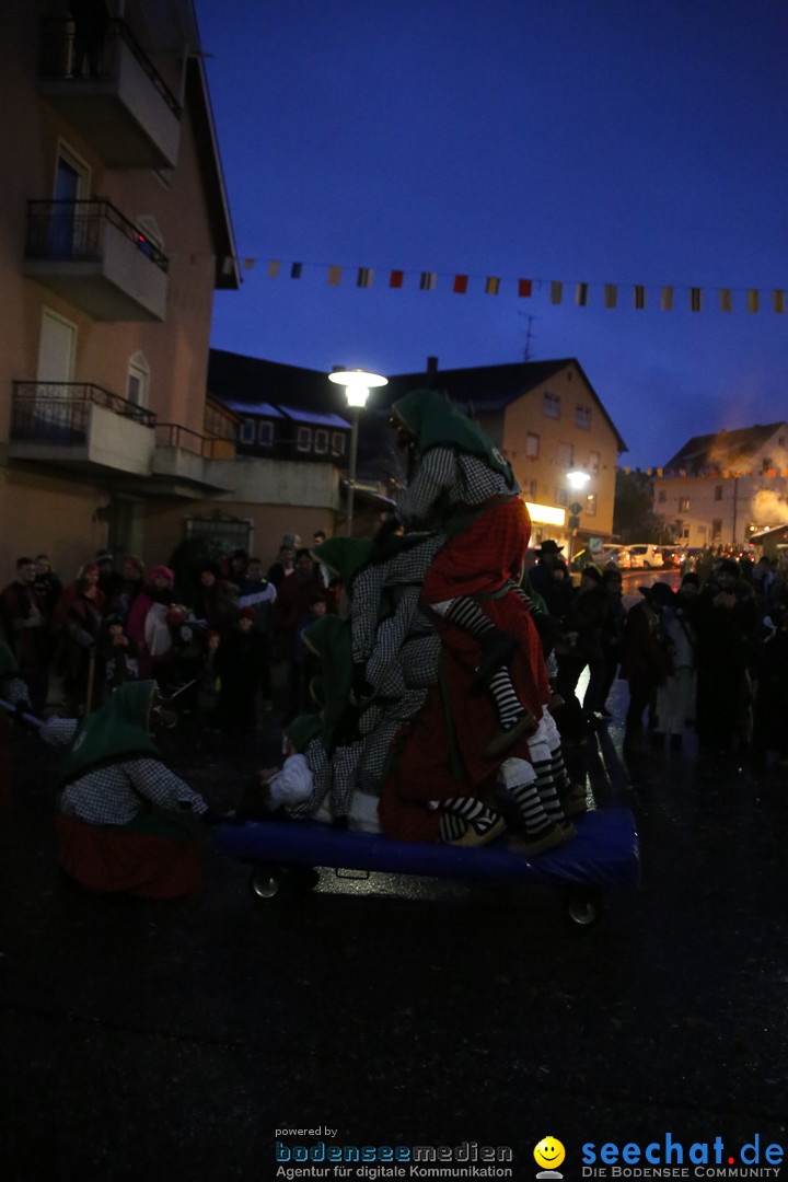 Fasnetsumzug - Fasching: Markdorf am Bodensee, 16.01.2016