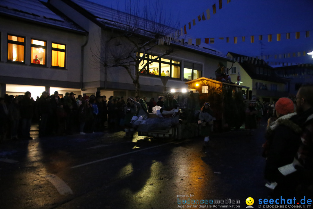 Fasnetsumzug - Fasching: Markdorf am Bodensee, 16.01.2016