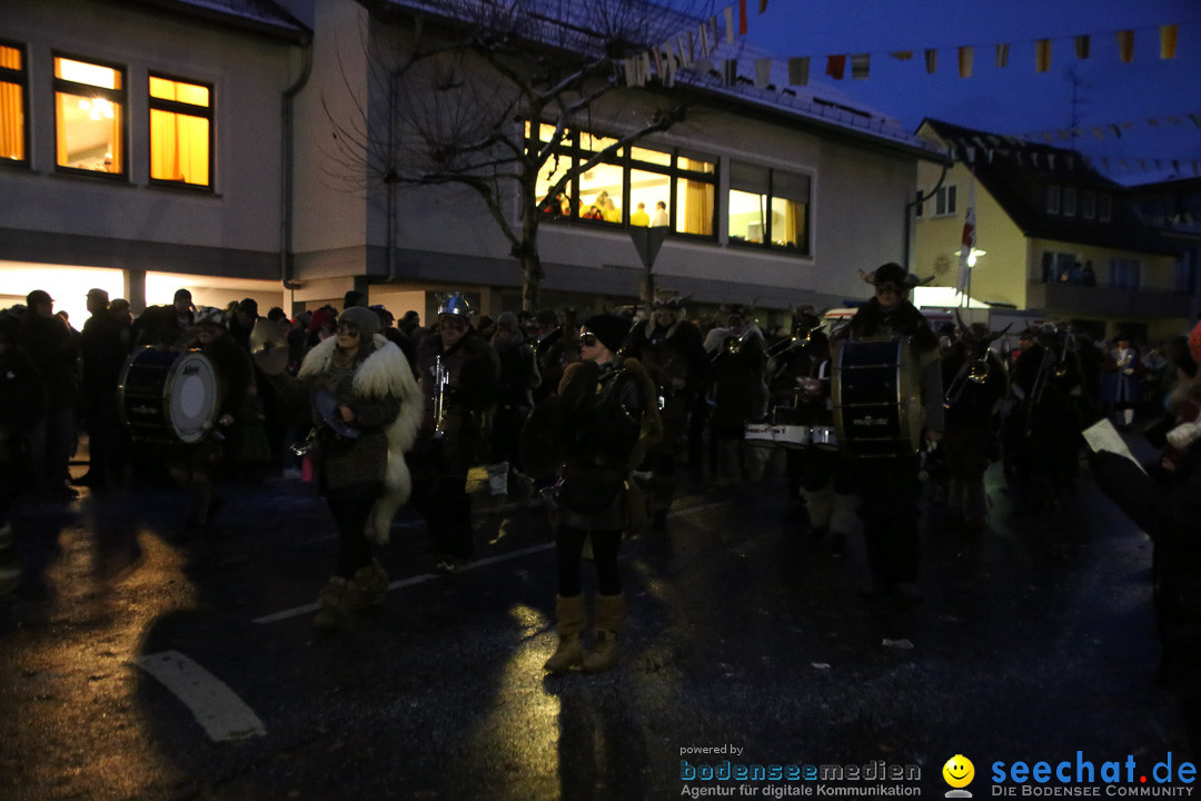 Fasnetsumzug - Fasching: Markdorf am Bodensee, 16.01.2016